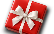 Holiday Sale Gift Icon DT